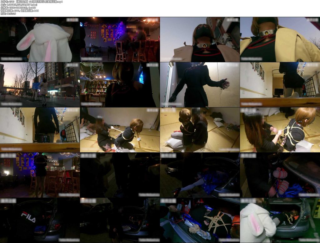 满月之夜 后备箱运输-逍遥自在