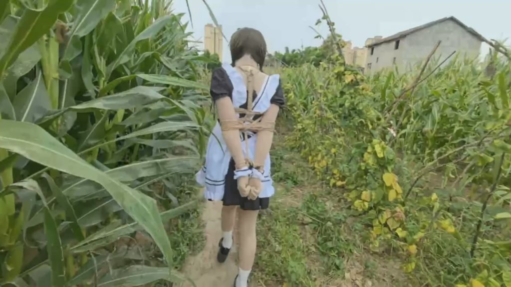 奇妙的旅途 路上车来车往 旁边路过的车会不会看到后排被绑上的女仆 欧式直臂-逍遥自在