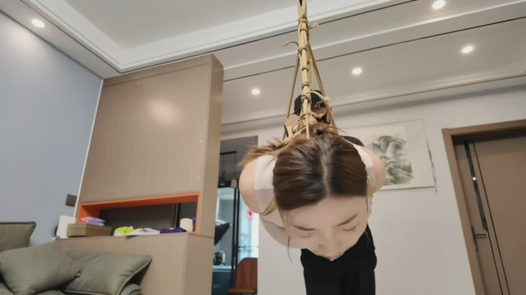 031150l77ynpp43t3drdz3