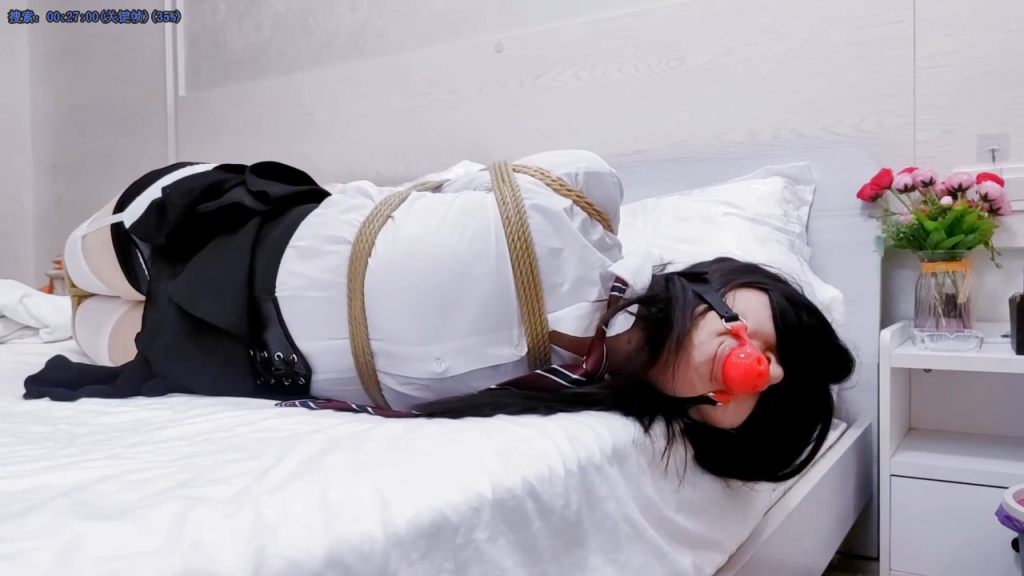 20250624182205970-Snipaste_2025-05-16_22-25-20