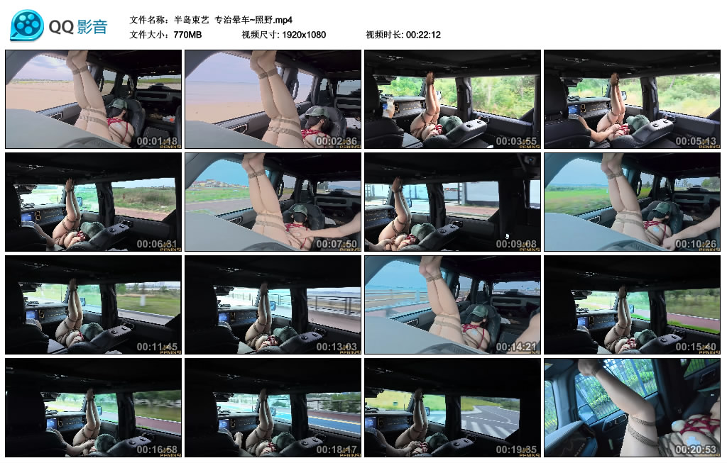 半岛束艺 专治晕车~照野-逍遥自在