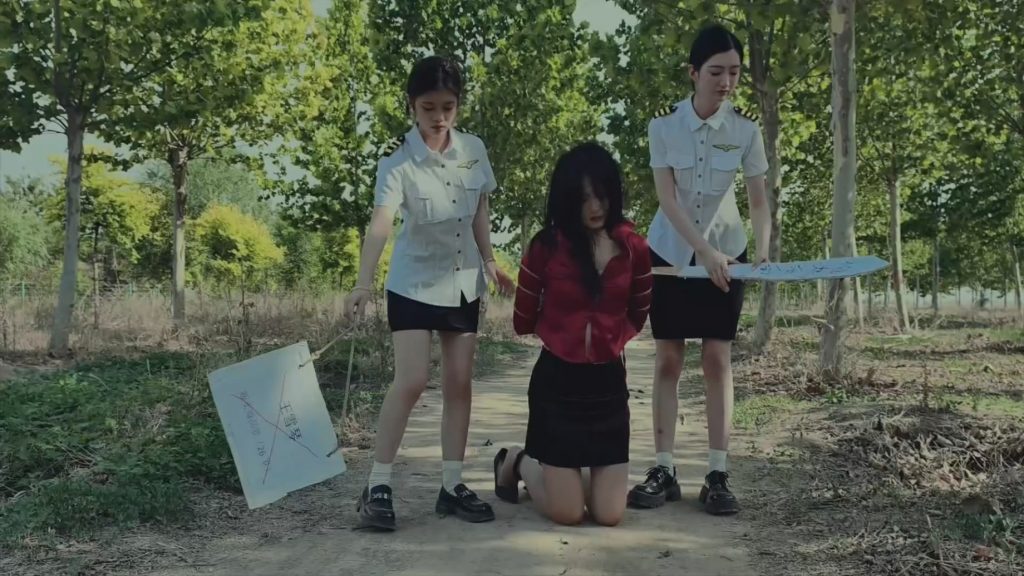 若琪饰演王雪琴，组织卖淫，故意杀人，贩毒，被抓捕-逍遥自在