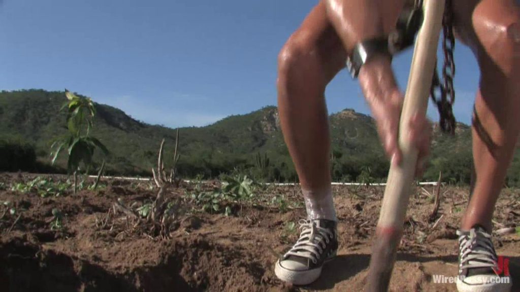 郊外农场 城市女孩-逍遥自在