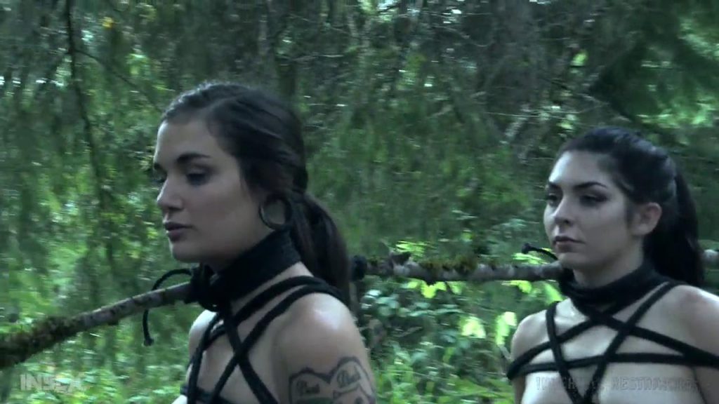 20250629234919684-12