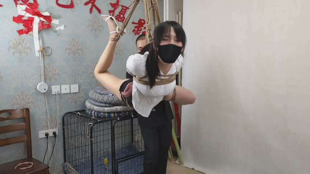 202555m33685r5xn6t55i6