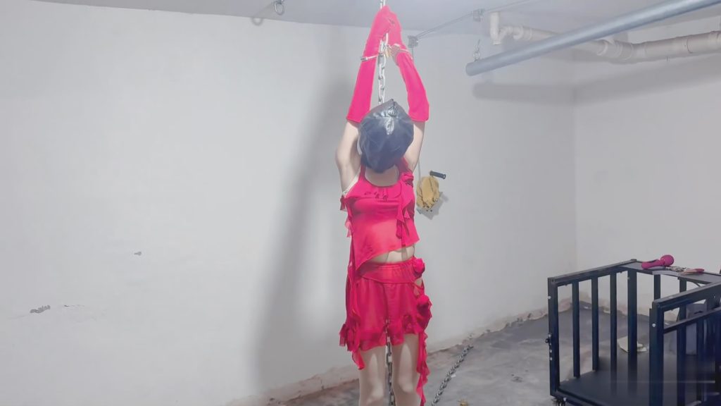 205547tysypdbvihwbmdod