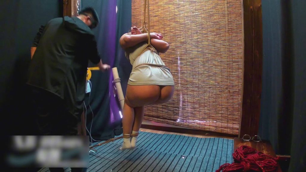 220055mms1t0etofun1tqd (1)