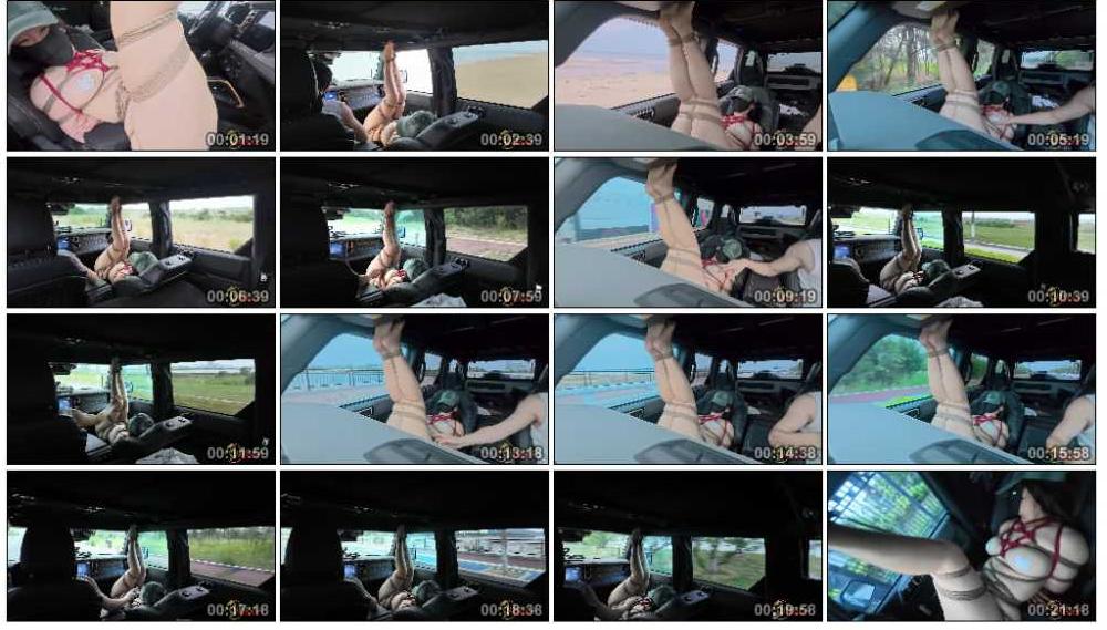 照野 专治晕车-逍遥自在