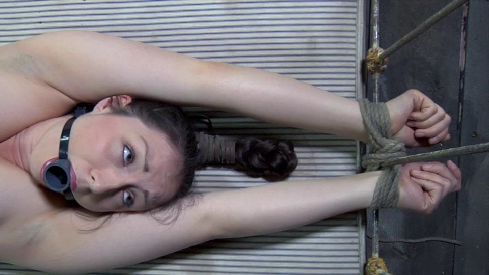 【欧美绳艺】双人袋-逍遥自在