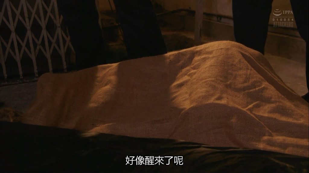 【日韩绳艺】【4K】气质人妻紧缚羞辱调教舞台奴隶拍卖会场表演-逍遥自在