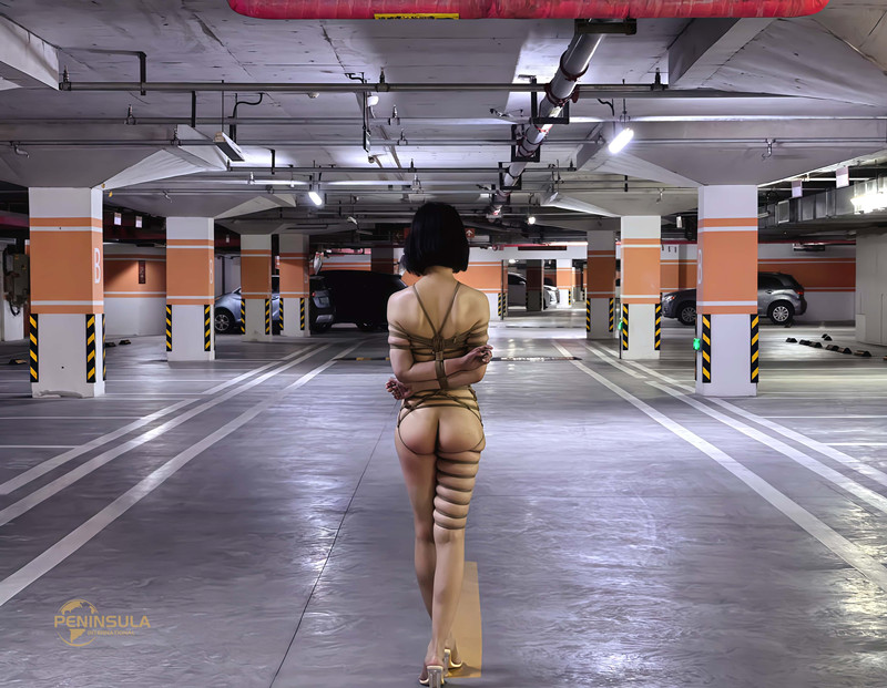 半岛新宠落叶，真正的绳缚爱好者与绳相伴的日常（NH图集）-逍遥自在