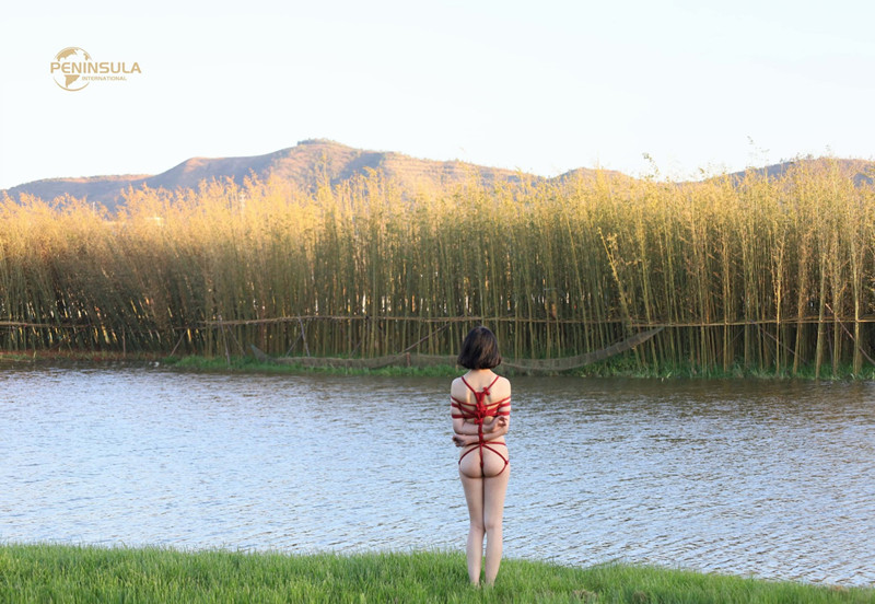 103104rw6i1p5a0o5ffzwf