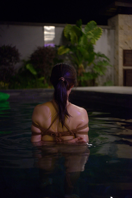 113528vyk6rroj1sh4deom