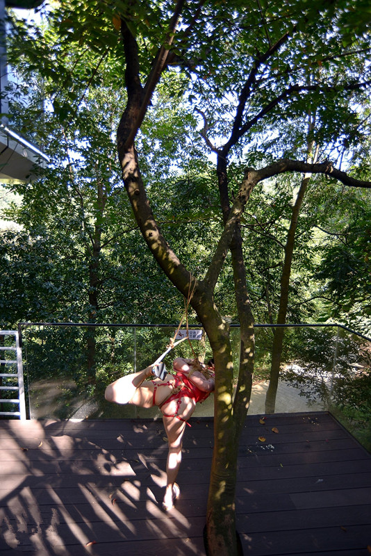 113534mwbbz8bk9wt0tqe8