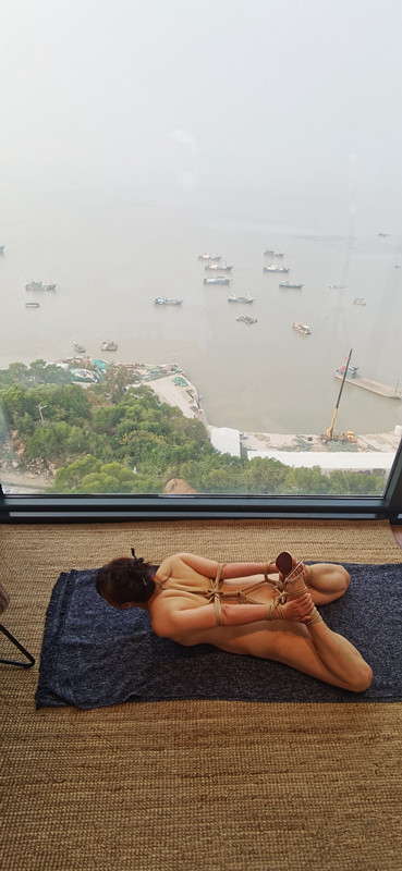 113538o985a25jt282q8a1