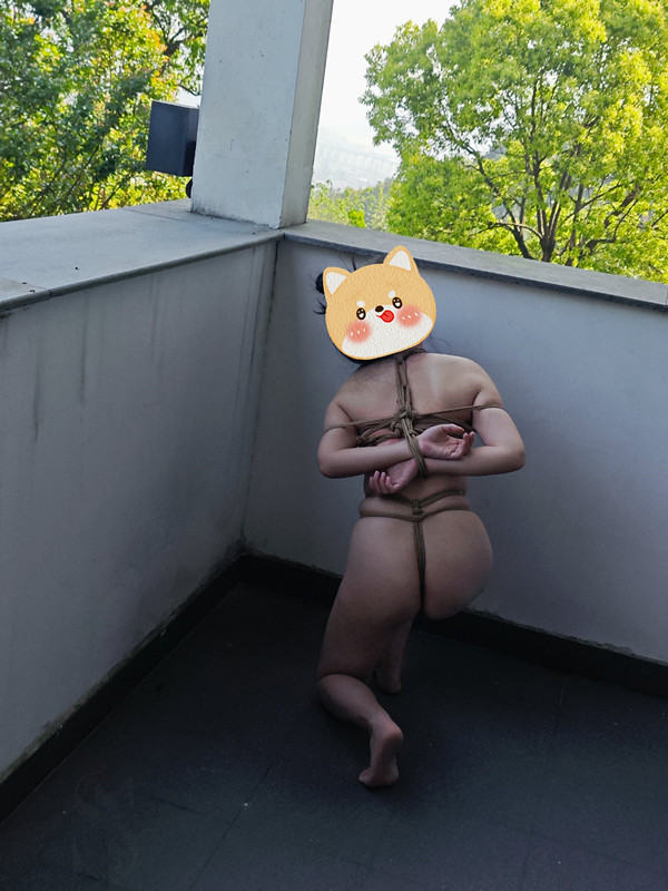 130817pypjyzaxw3yzzyj7