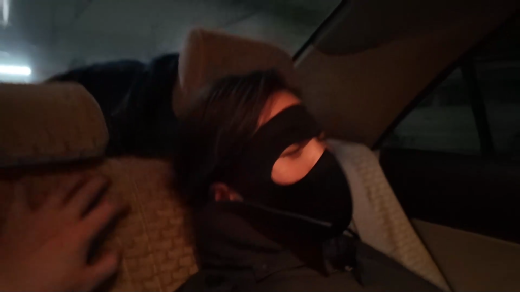 李大侠原创----绑架空姐佳佳（上）-逍遥自在