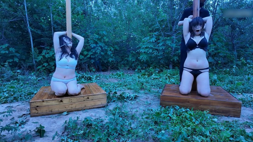 20250708083307851-043410d2sew5yunwwun8nr