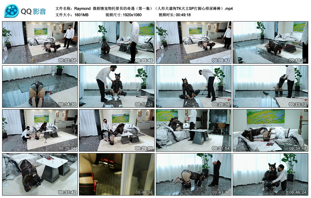Raymond 微剧情宠物托管员的奇遇（第一集）（人形犬遛狗TK犬立SP打脚心排尿棒棒）-逍遥自在