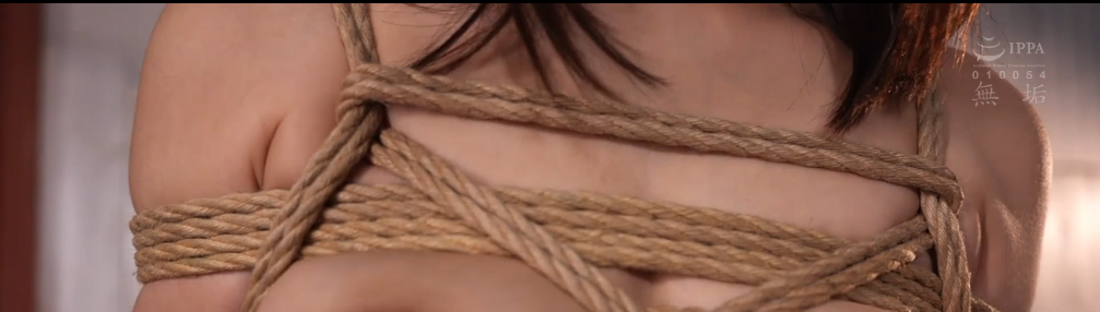 20250712002742493-12