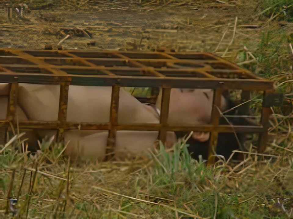 20250712235705937-15