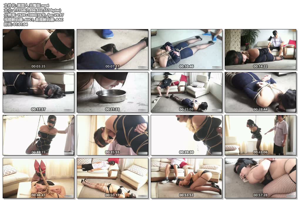 20250713003031135-S0772