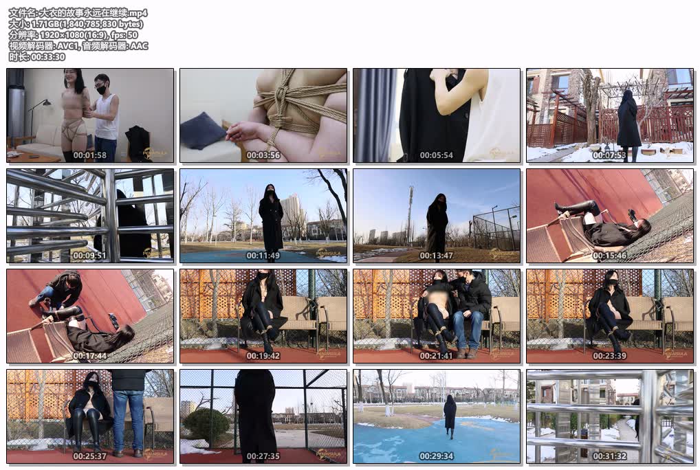 【国产绳艺】《半岛束艺台》千部大合集系列（第一期）100部/135GB-逍遥自在