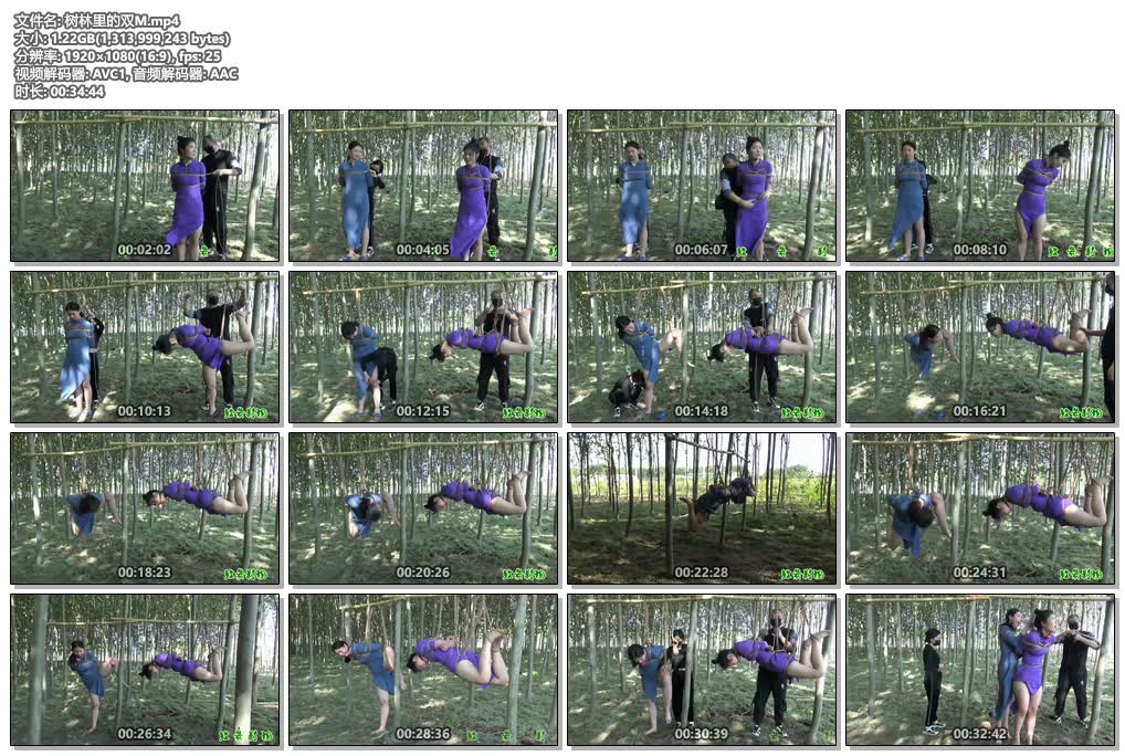 20250713003540790-39