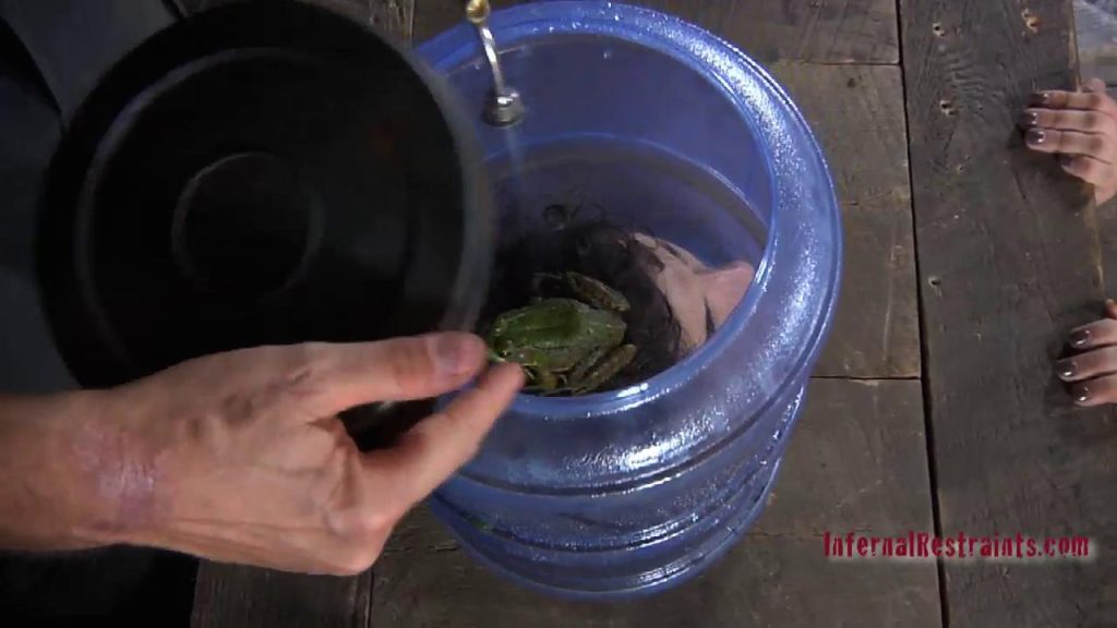 8cda81fc7a20250714003503