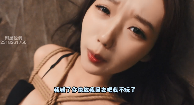 Snipaste_2025-07-27_14-33-23