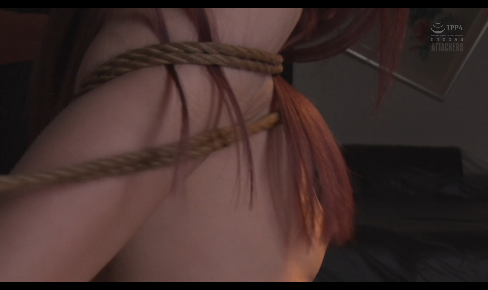 日子：迪蜡tj系列1-逍遥自在