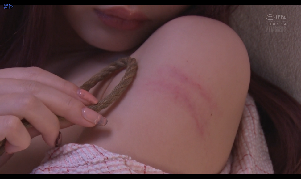 Snipaste_2025-07-29_01-21-53