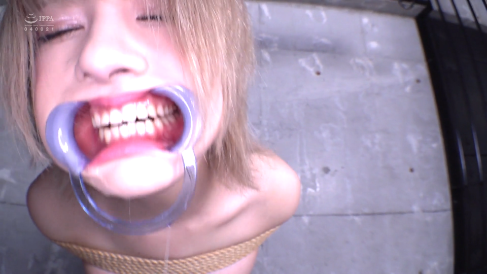 日子：迪蜡tj系列3 都是一个不到是的过程，又快有慢-逍遥自在