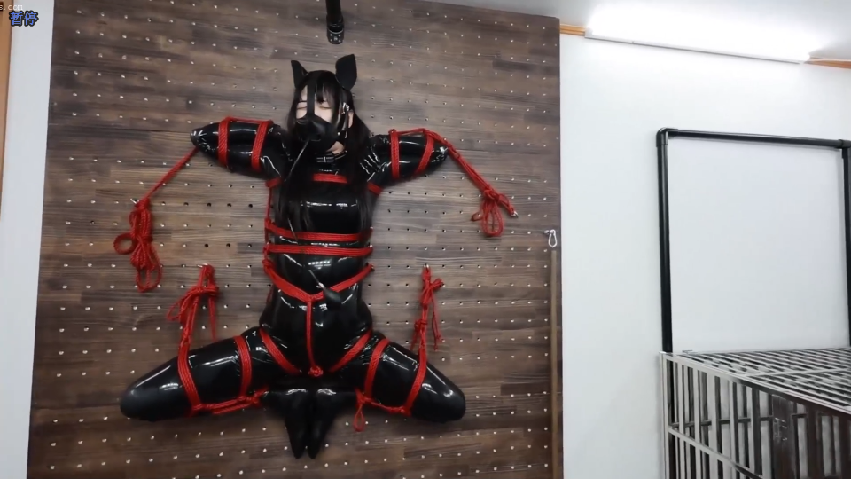 Snipaste_2025-07-29_19-44-18