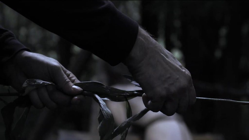 ae5662532820250714004824