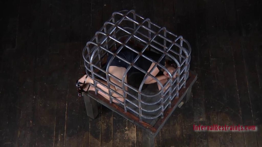 f3ccdd27d220250714003500