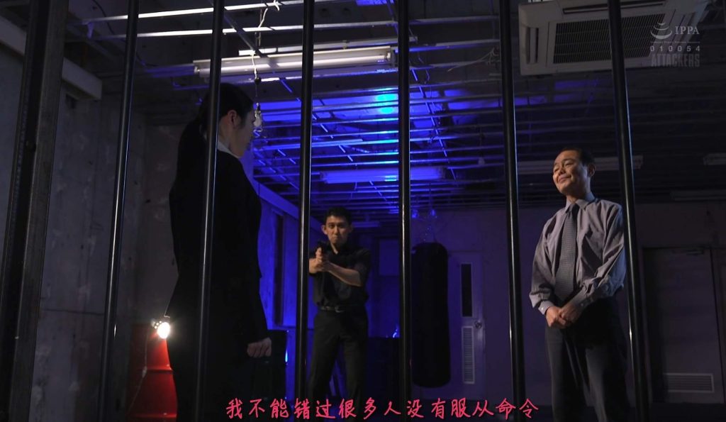 【日韩绳艺】【4K/1080】高傲女搜查官被俘后的拷问紧缚深渊-逍遥自在