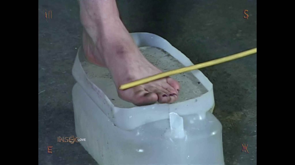 20250812194411339-13