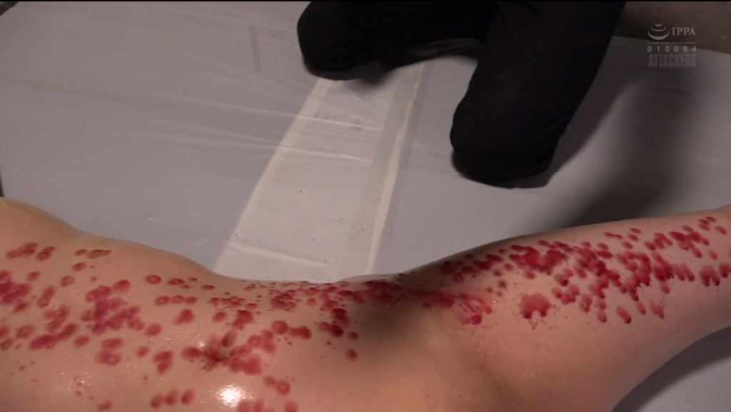 20250812195802761-13