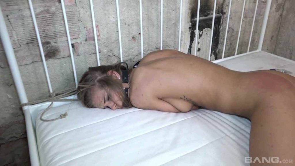 20250812230908225-11