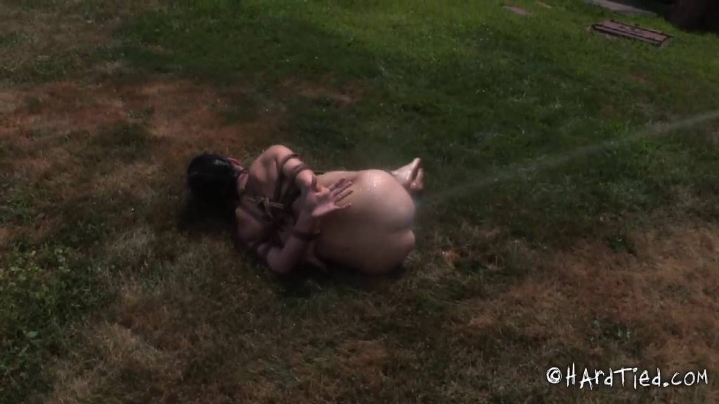 20250816230548727-10