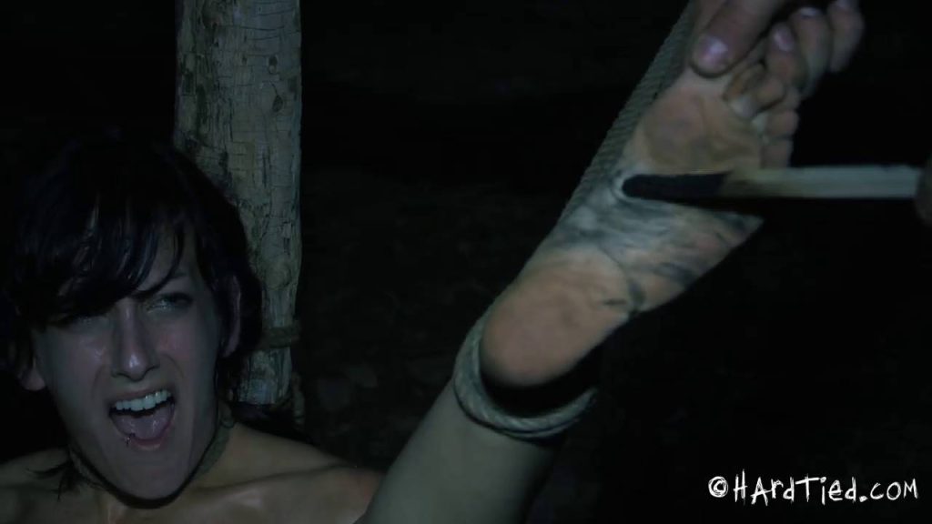 20250816230558391-19