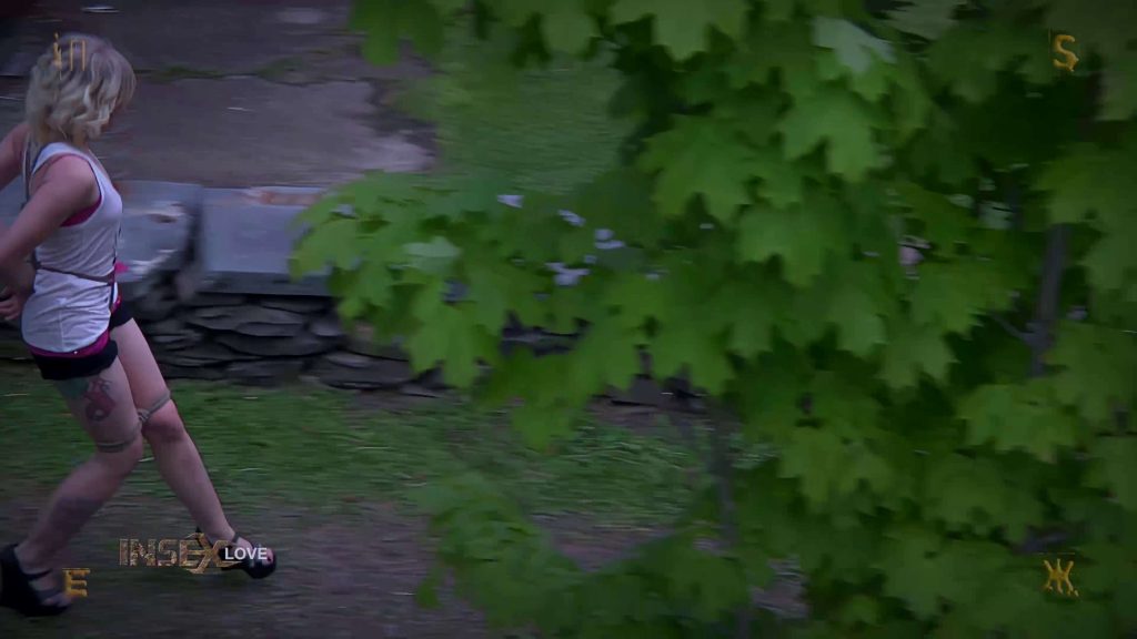 【欧美绳艺】《原版4K》蜘蛛庄园农场里紧缚蓝精灵的秘密档案-逍遥自在