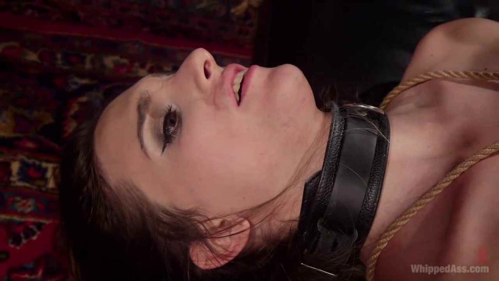 20250819235437986-10