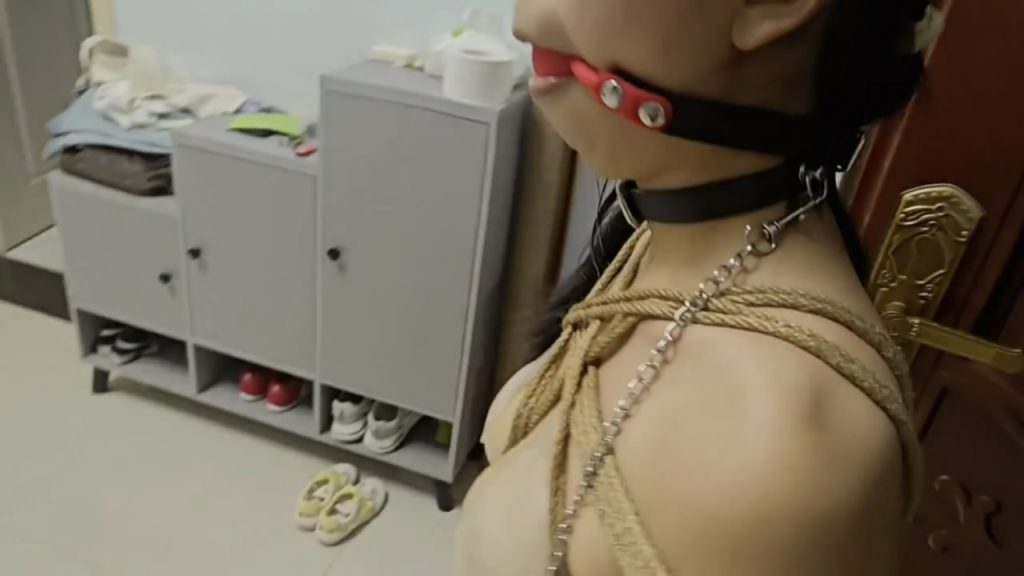 王宁 慧慧被饲养的日常记录-逍遥自在