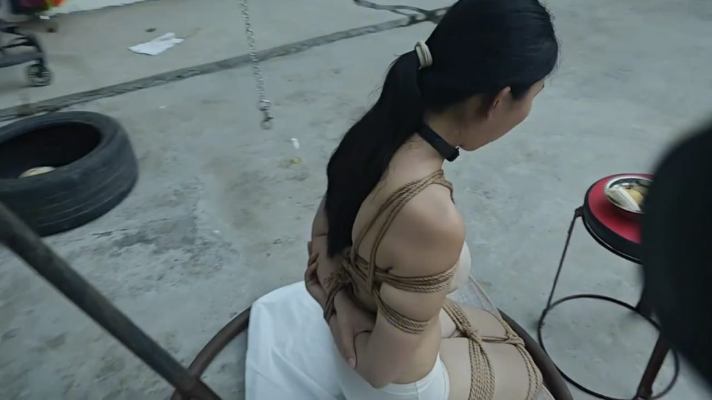 20250820064353588-035456hwejn39wennenrut