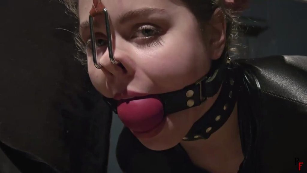 20250820223808283-11