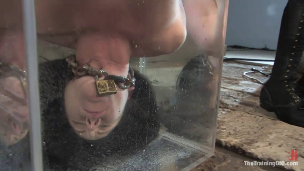 20250820231616488-15