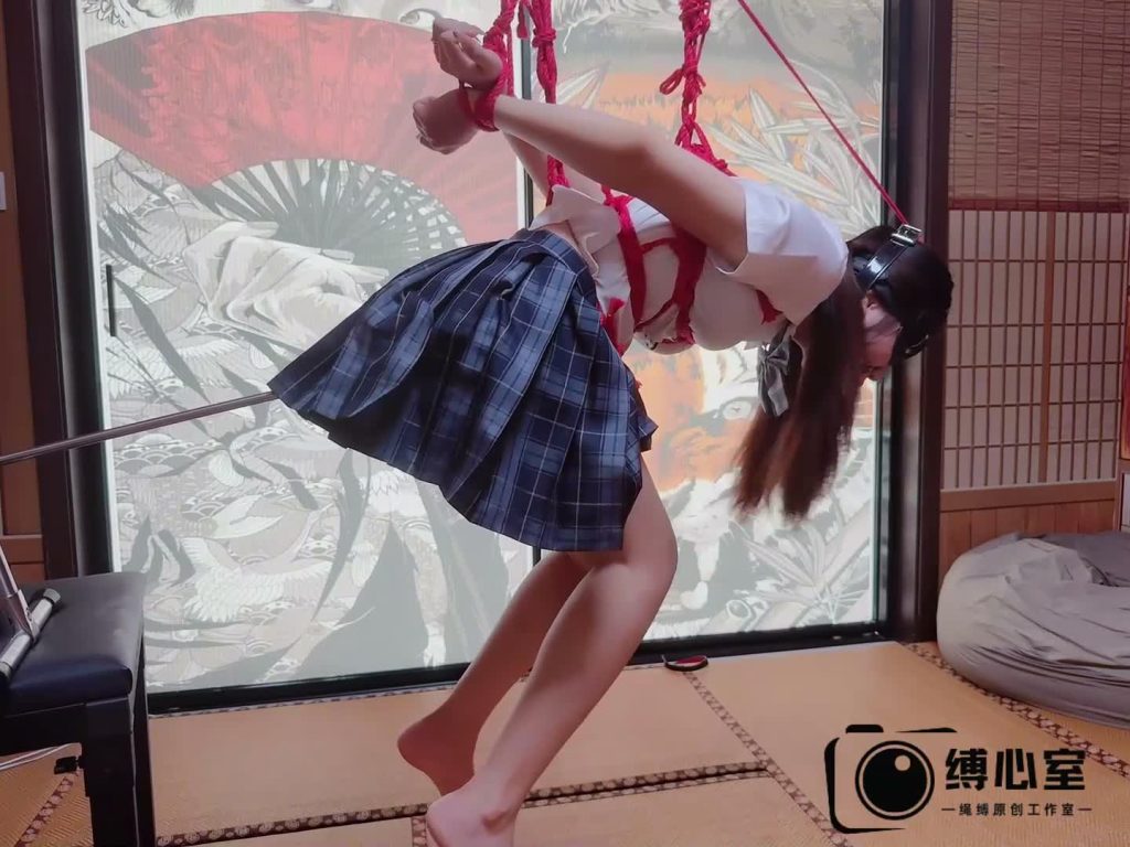【缚心室】双马尾JK少女的绳缚地狱！一天高强度折磨，木马、驷马、吊缚折磨，-逍遥自在