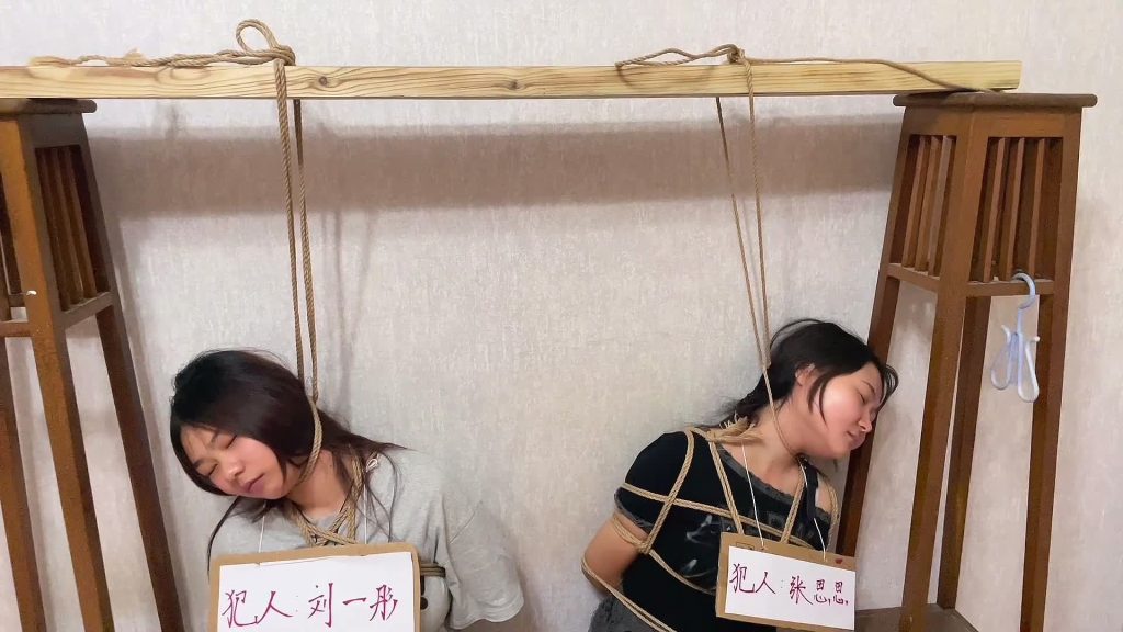 龙飞 《罪红颜》两个诈骗犯 坑蒙拐骗 执行si刑 三种死法 令人胆寒到残酷。-逍遥自在